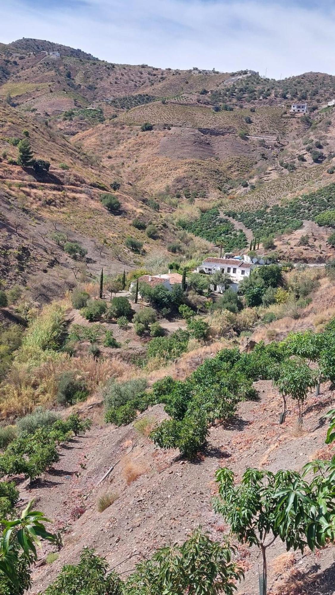 Cortijo Lagar De Luisa Vendégház Borge Kültér fotó