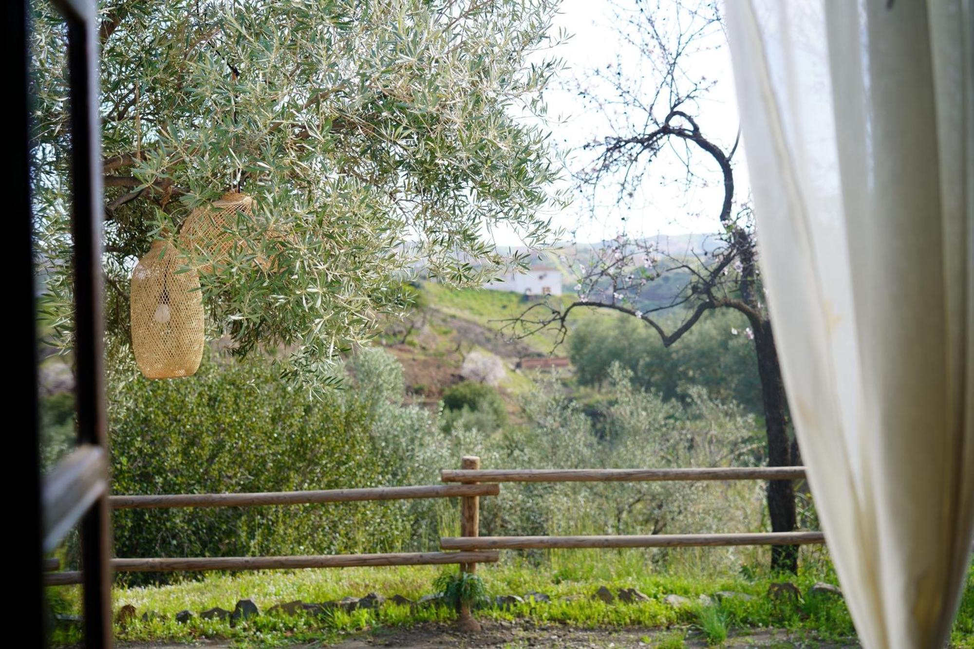 Cortijo Lagar De Luisa Vendégház Borge Kültér fotó