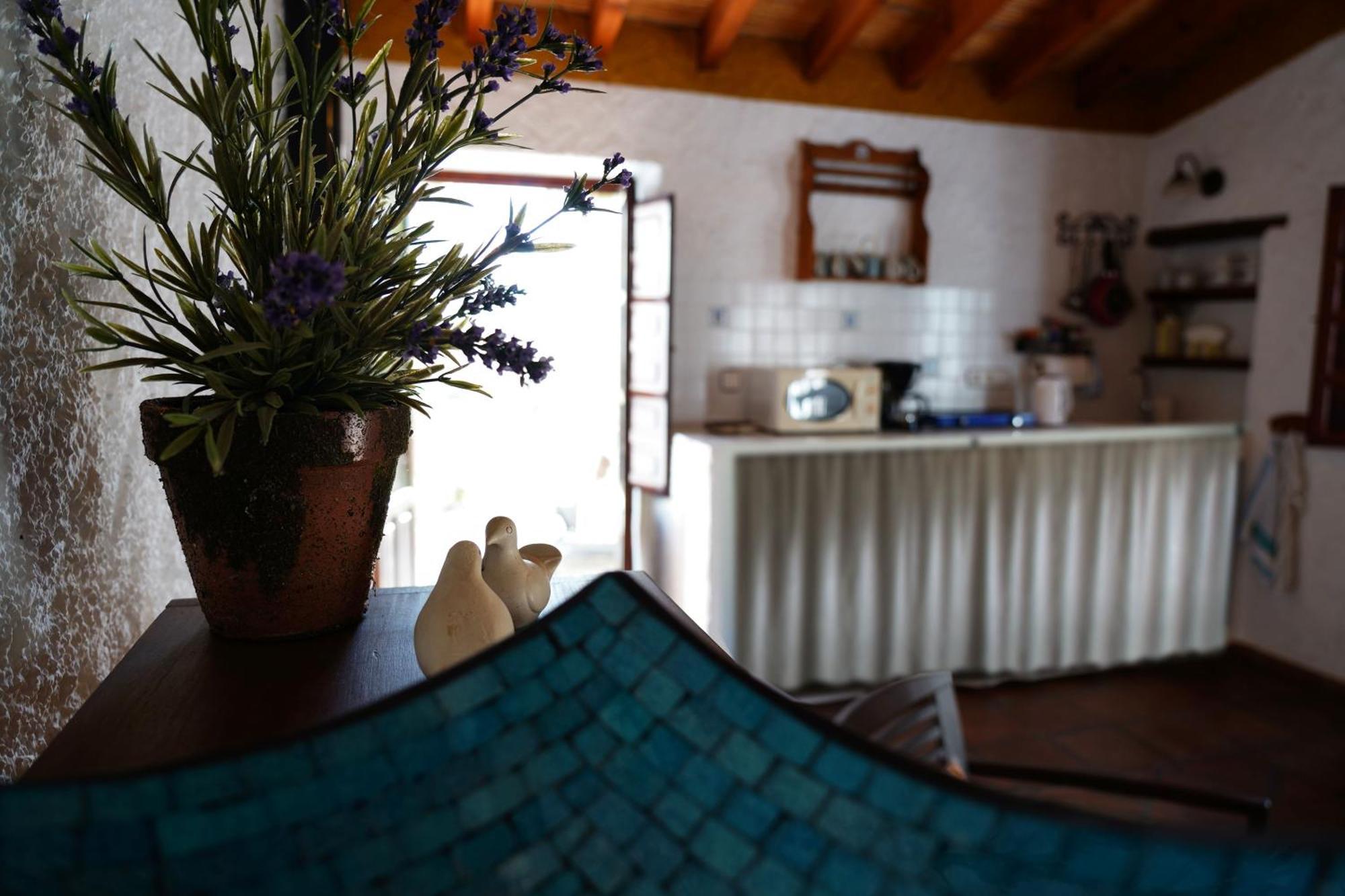 Cortijo Lagar De Luisa Vendégház Borge Kültér fotó