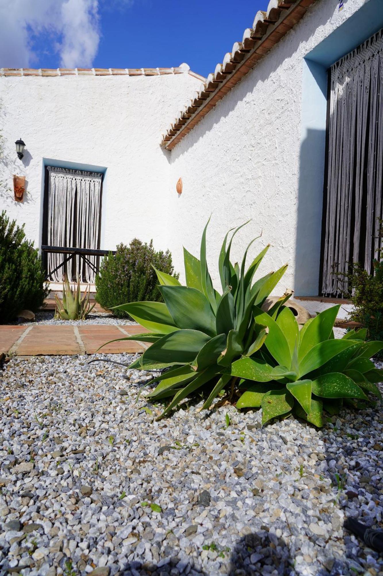 Cortijo Lagar De Luisa Vendégház Borge Kültér fotó