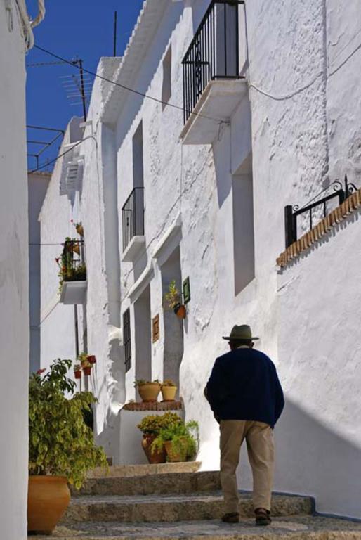 Cortijo Lagar De Luisa Vendégház Borge Kültér fotó